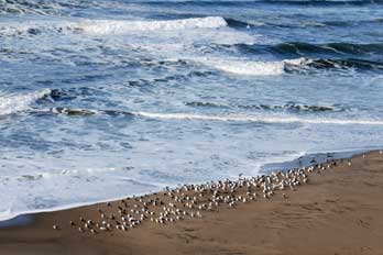 Manresa Beach, CA