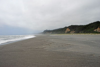 Gold Bluffs Beach, Prairie Creek Redwoods State Park,  Humboldt County, CA