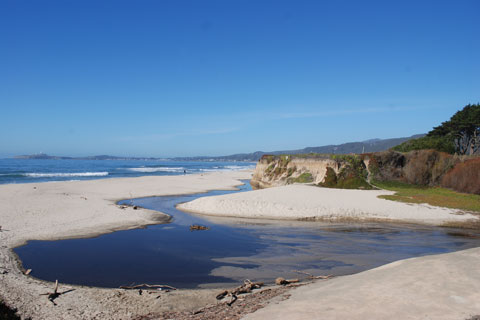 Venice Beach, Half Moon Bay State Beach, California