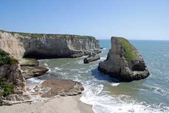 Shark Fin Cove, Davenport, CA